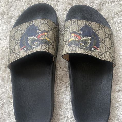 wolf gucci slides|More.